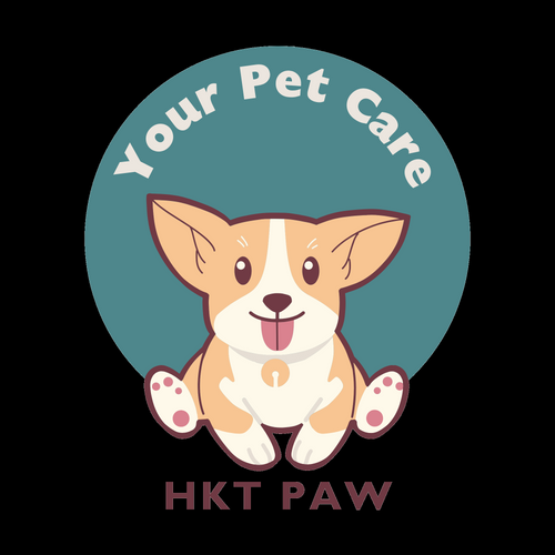 Pet toys