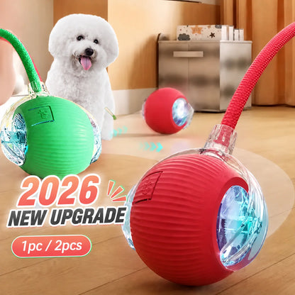 New Dog Interactive Ball Toy,Automatic Rolling