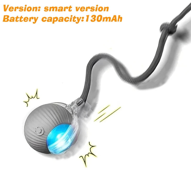 New Dog Interactive Ball Toy,Automatic Rolling
