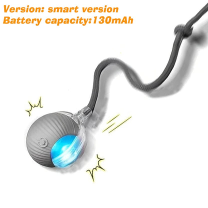 New Dog Interactive Ball Toy,Automatic Rolling