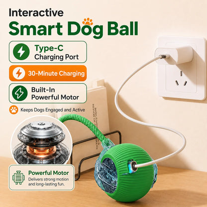 New Dog Interactive Ball Toy,Automatic Rolling