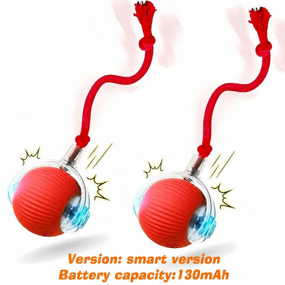 New Dog Interactive Ball Toy,Automatic Rolling