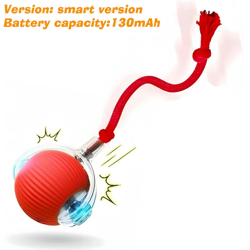 New Dog Interactive Ball Toy,Automatic Rolling