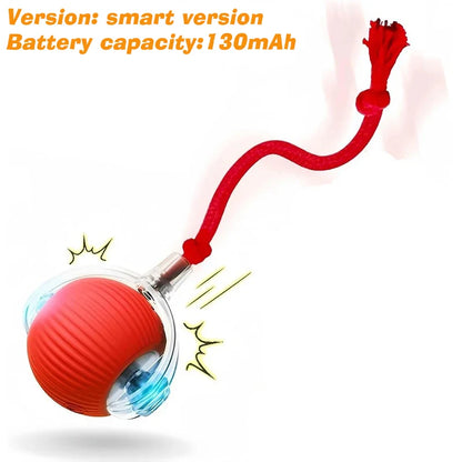 New Dog Interactive Ball Toy,Automatic Rolling