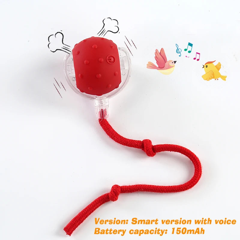 New Dog Interactive Ball Toy,Automatic Rolling