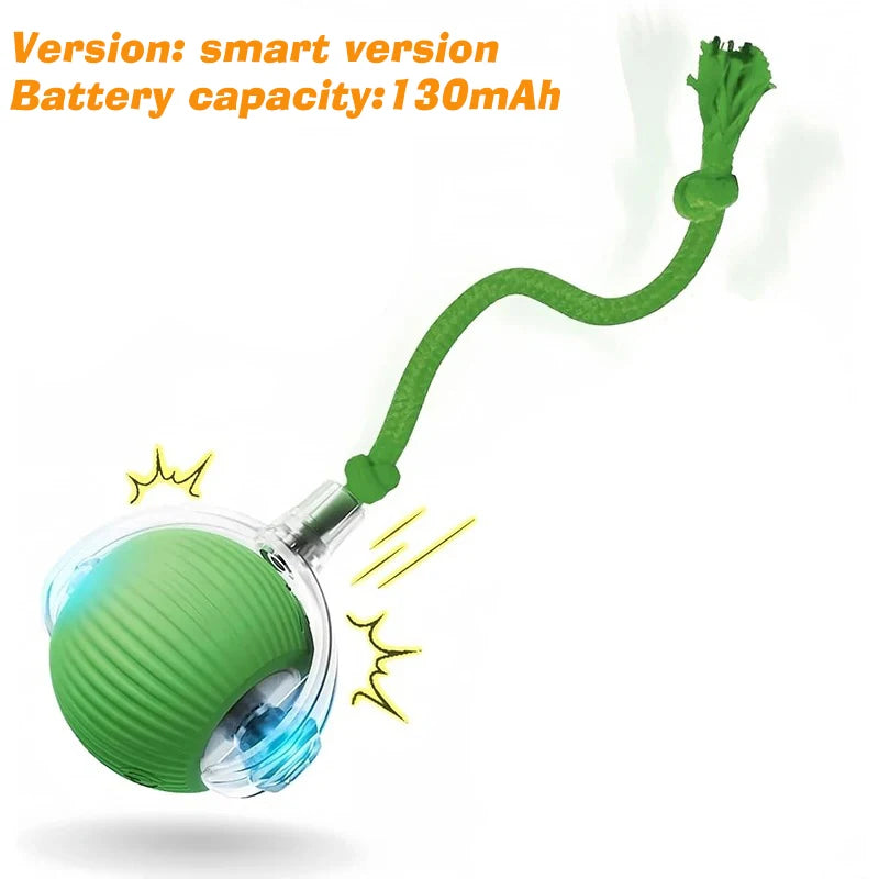New Dog Interactive Ball Toy,Automatic Rolling