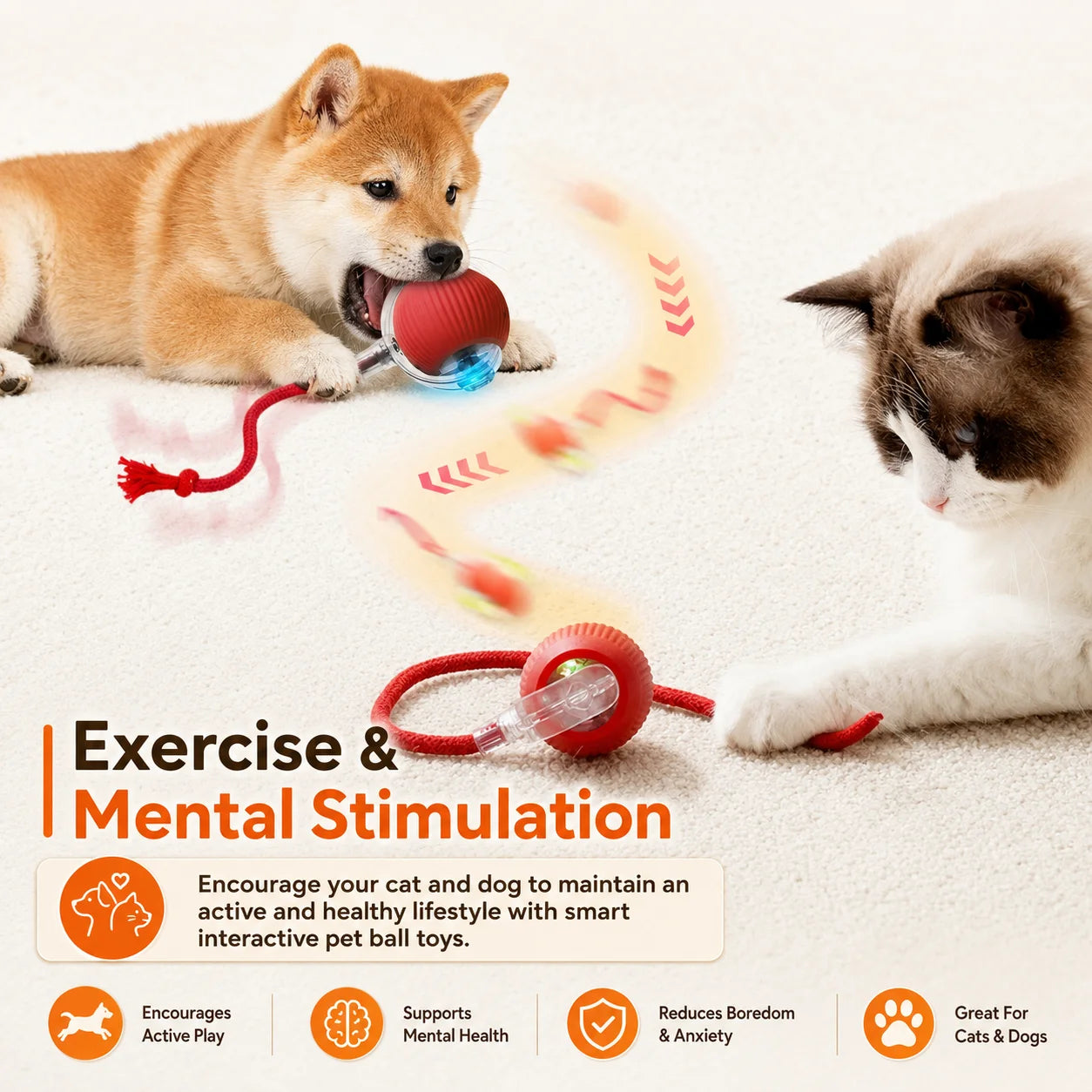 New Dog Interactive Ball Toy,Automatic Rolling