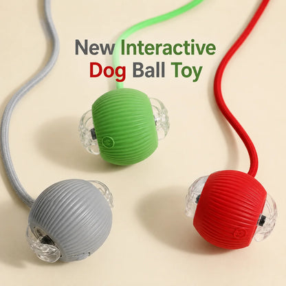New Dog Interactive Ball Toy,Automatic Rolling