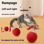 Interactive PetToy Ball Super Drive Rolling Ball
