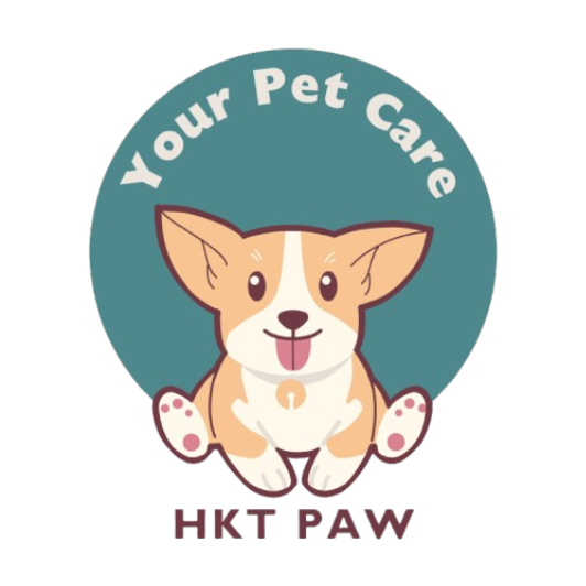 Pet toys